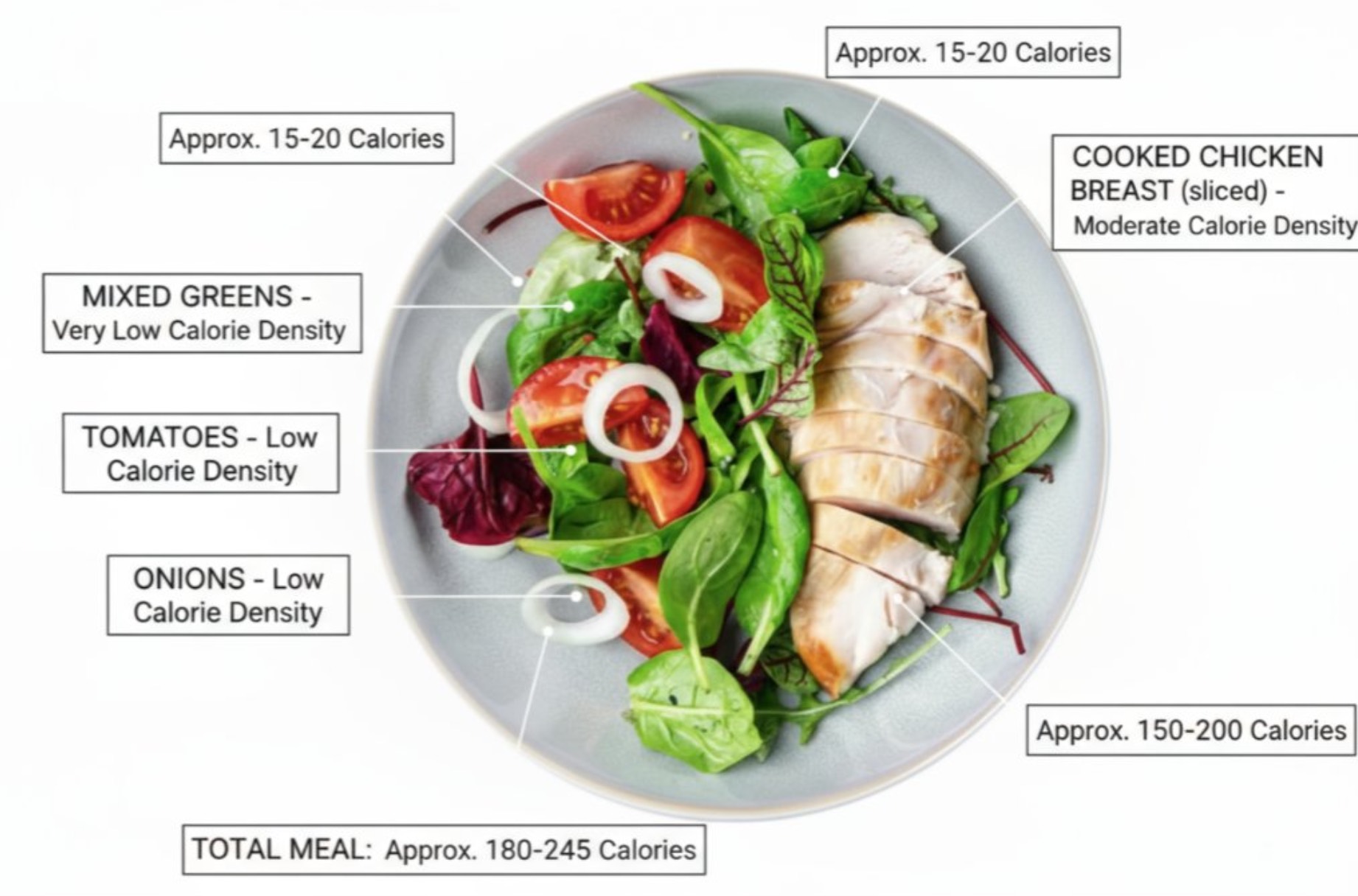 AI image prompt – Food Calorie Annotation output image